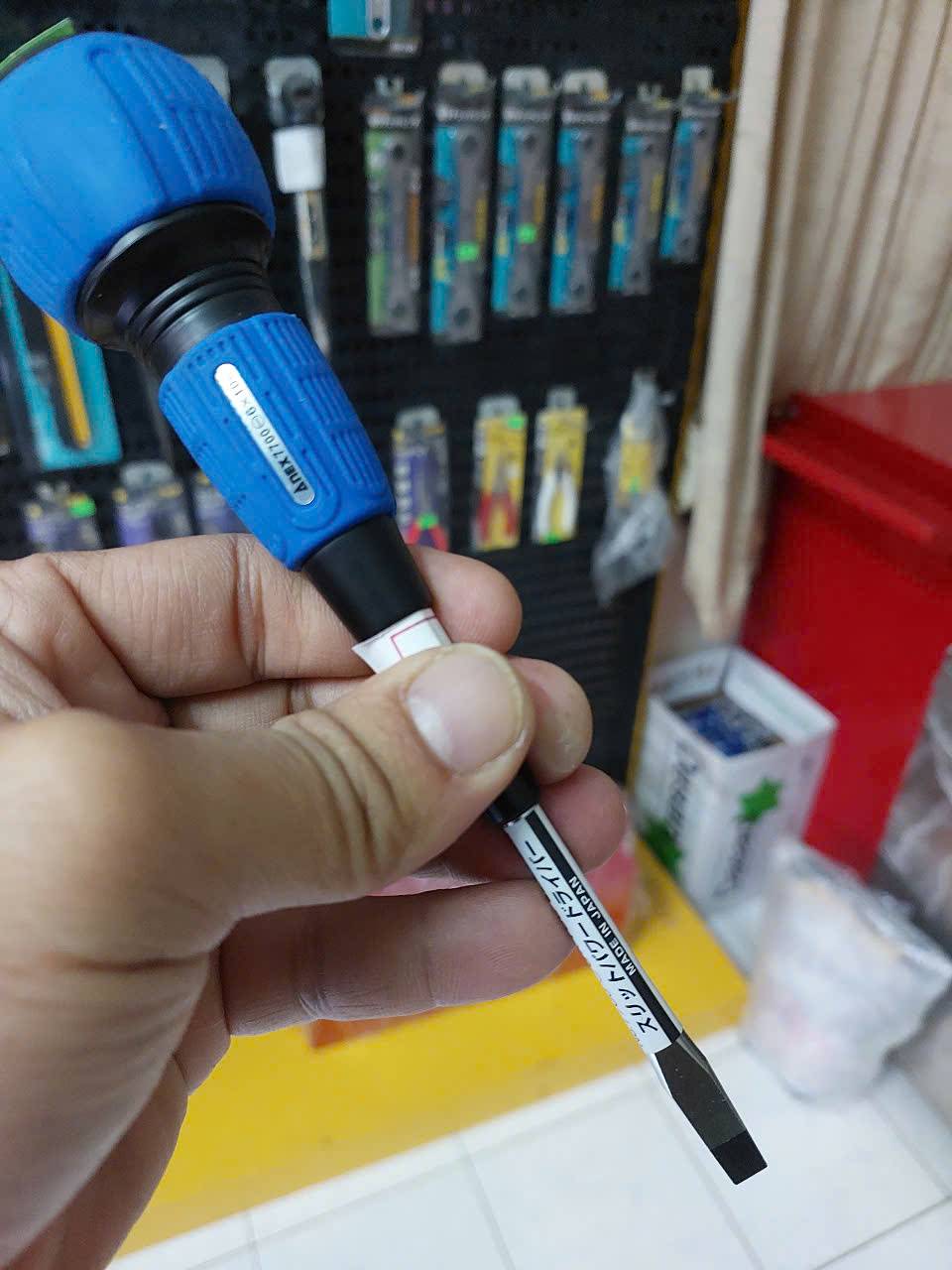 Tô vít dẹp 6mm Anex No.7700-6×100