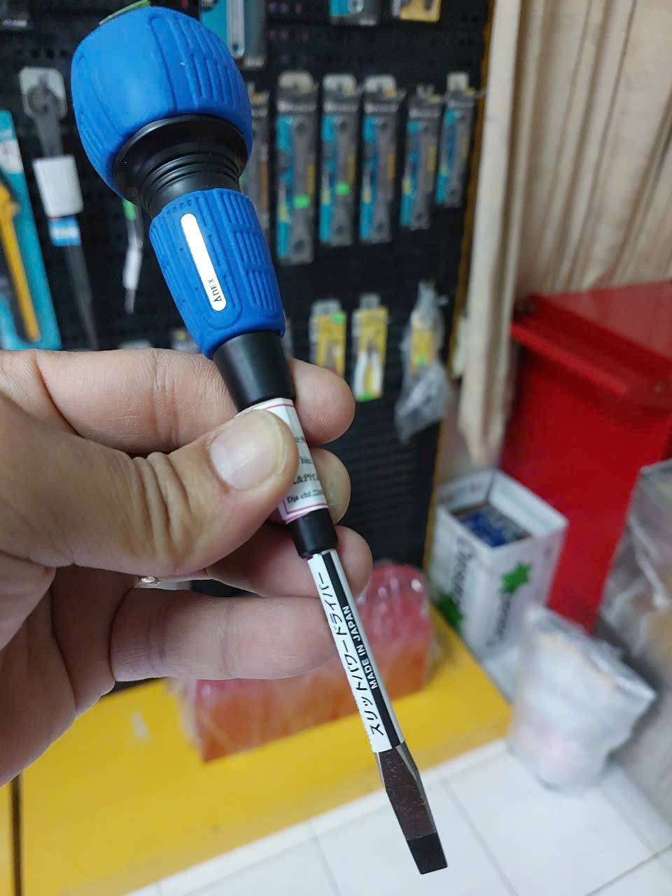 z7248502462756_d3fd5e29d75c57012699c7f04dffe31a Tô vít dẹp 6mm Anex No.7700-6×100