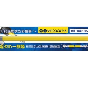 Vỉ 1 mũi vít 2 đầu có từ tính Anex ACPM-2200