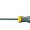 Tô vít hoa thị có lỗ Anex No.6300-T25x100