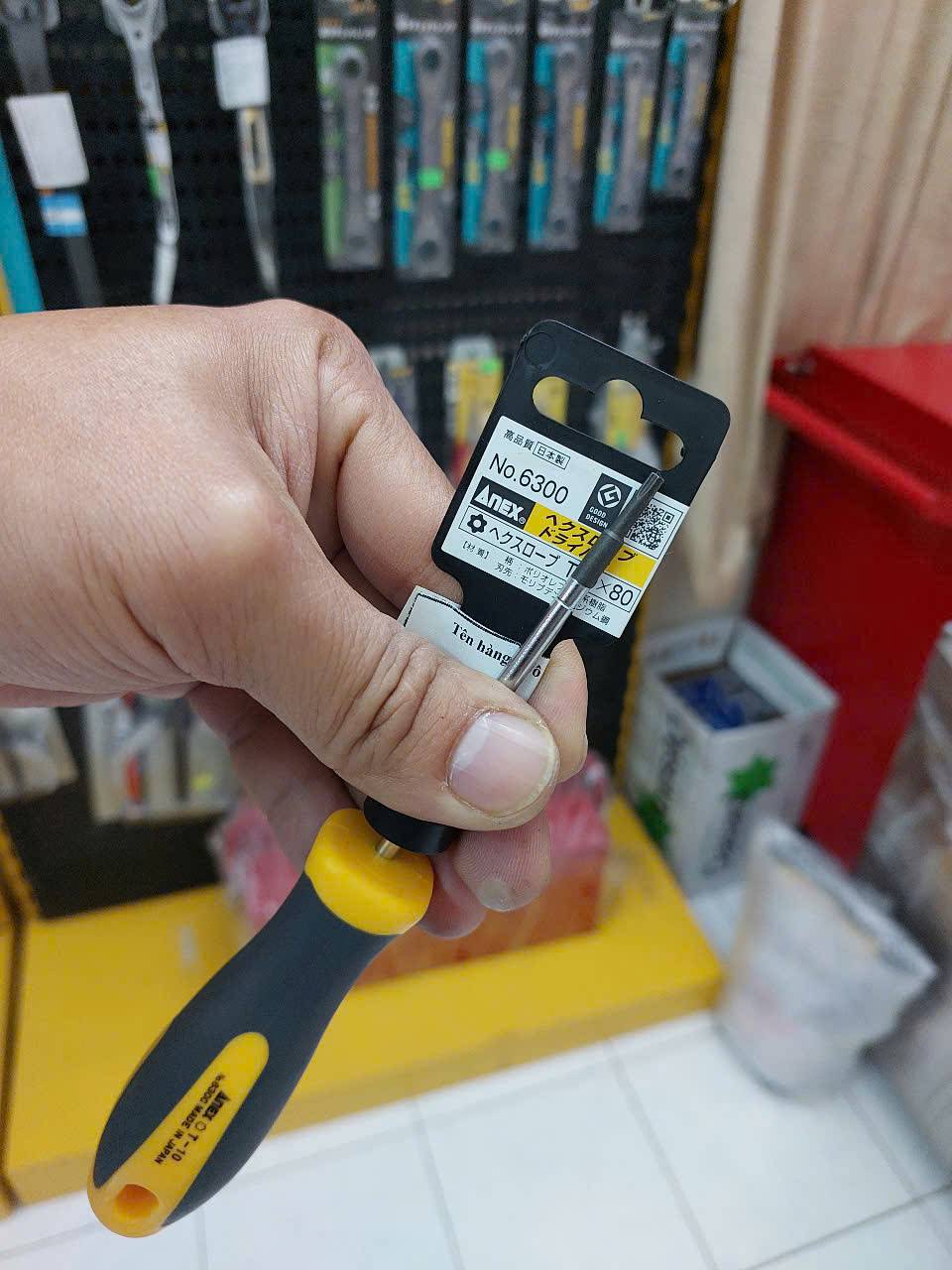 Tô vít hoa thị có lỗ Anex No.6300-T10x80