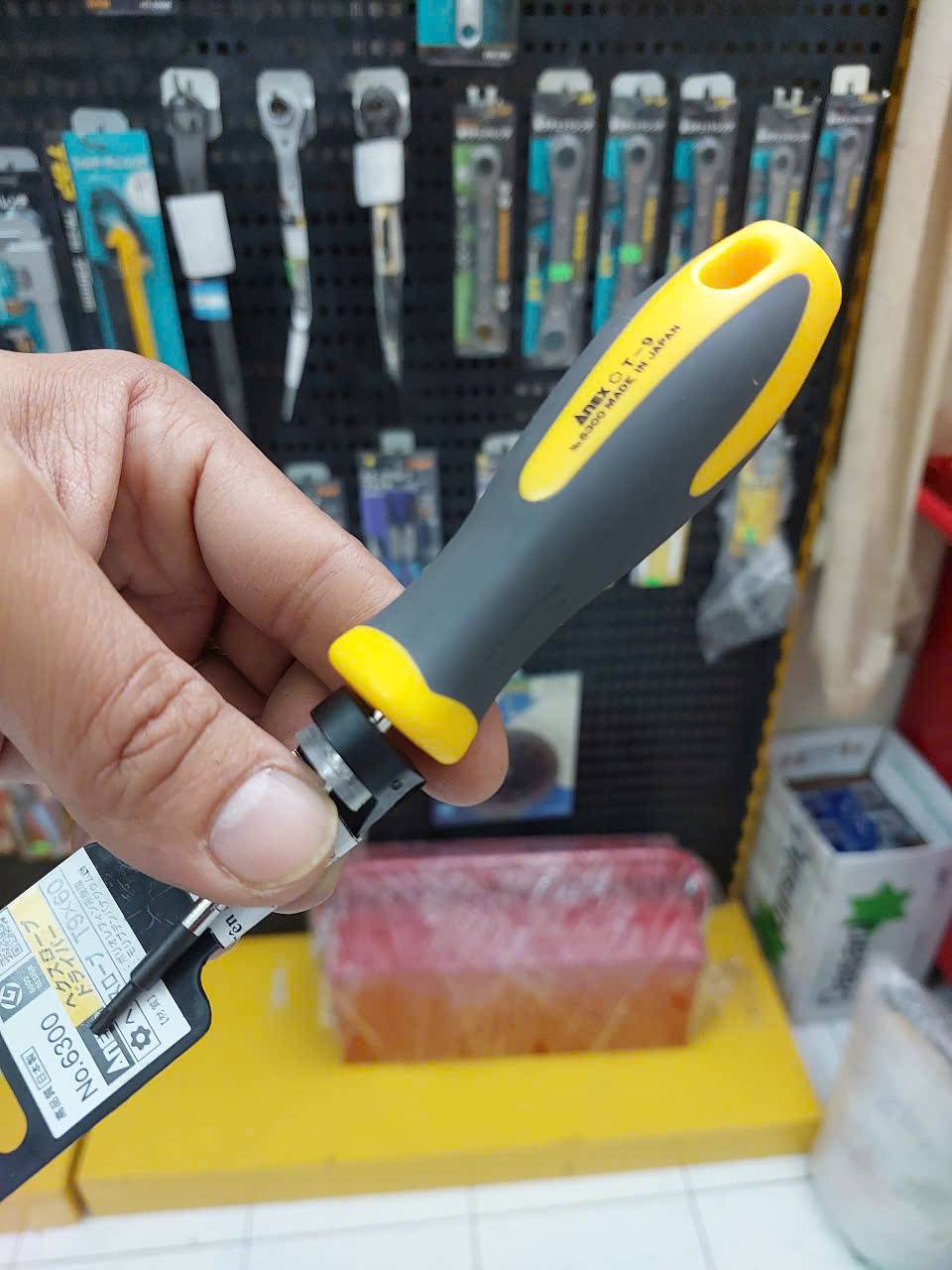 Tô vít hoa thị có lỗ Anex No.6300-T9x60