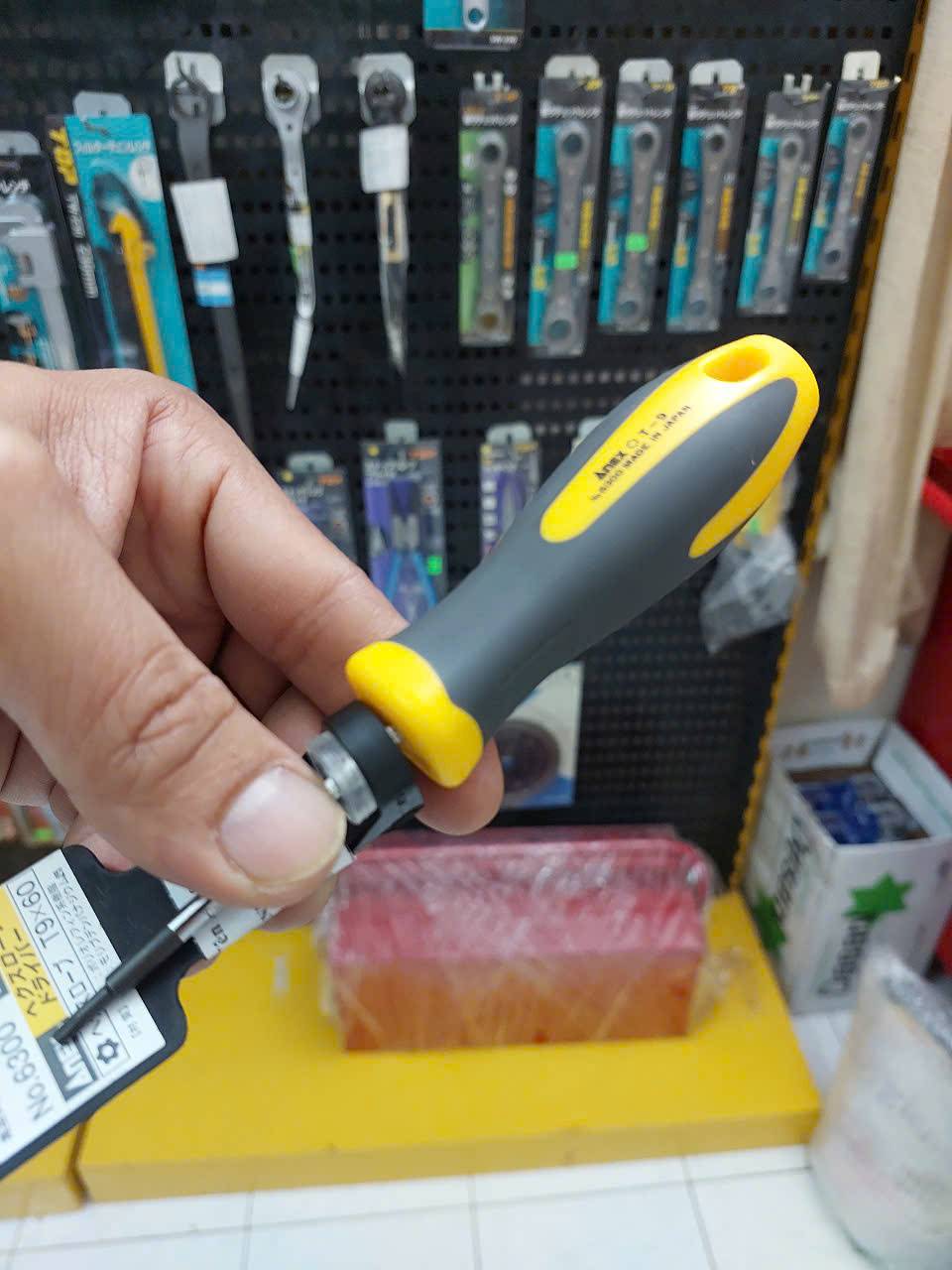 z7245160584034_3997a249f081268a0899185b3d956232 Tô vít hoa thị có lỗ Anex No.6300-T9x60