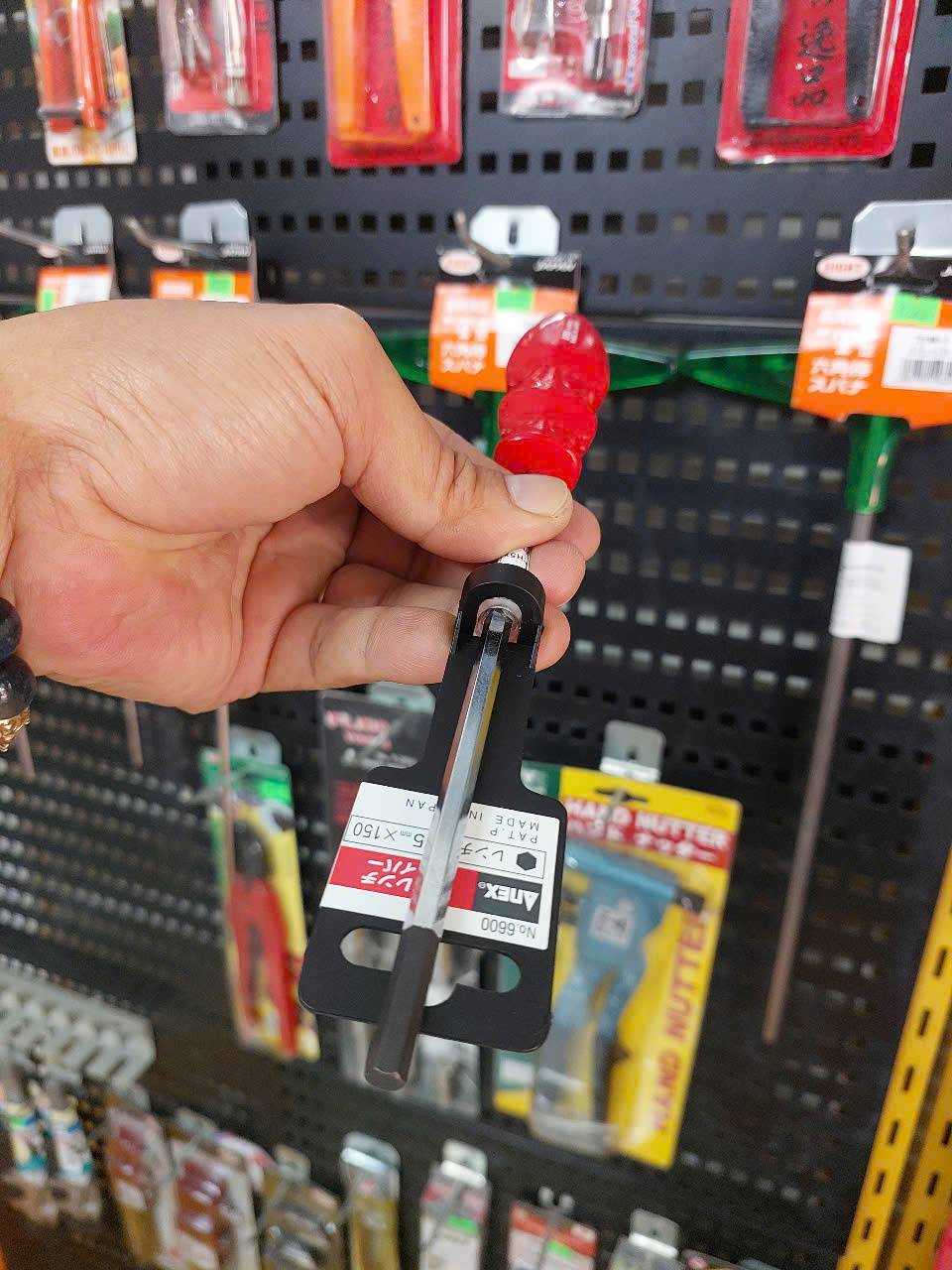 Tô vít lục giác Anex No.6600-H5x150