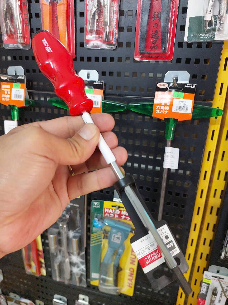 Tô vít lục giác Anex No.6600-H6x170