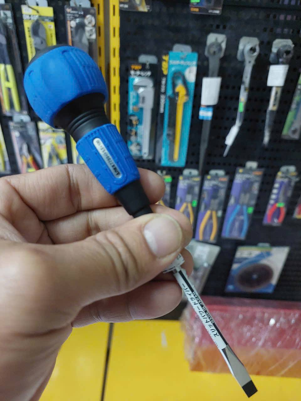 Tô vít 2 cạnh có từ tính Anex No.7700-5.5×100