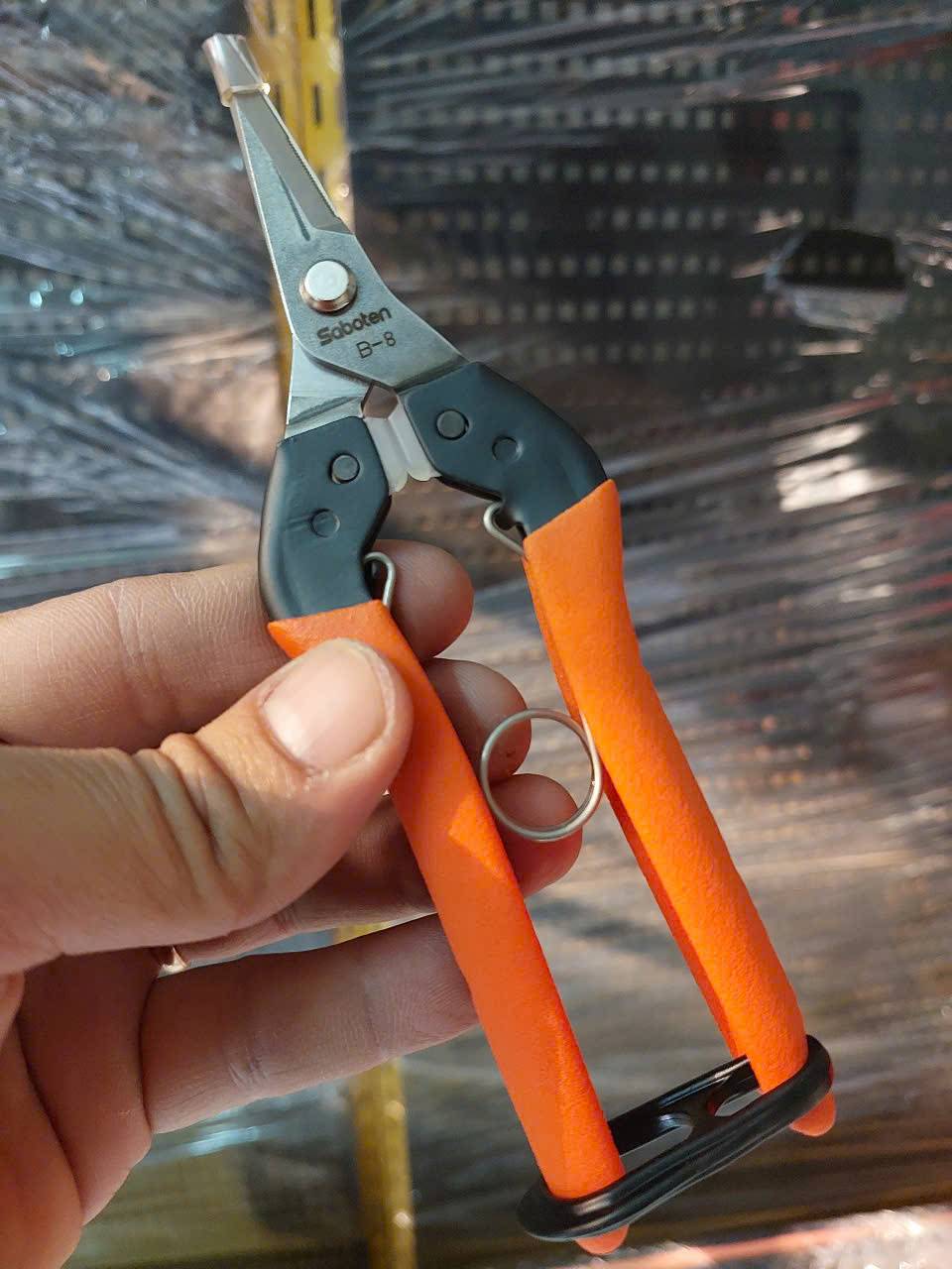 Kéo thu hoạch nho B-8 Saboten Nhật Bản