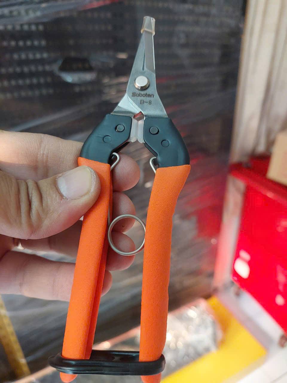 z7277740141072_d356d5b81e9ac4af399dd8d572f4d3cc Kéo thu hoạch nho B-8 Saboten Nhật Bản