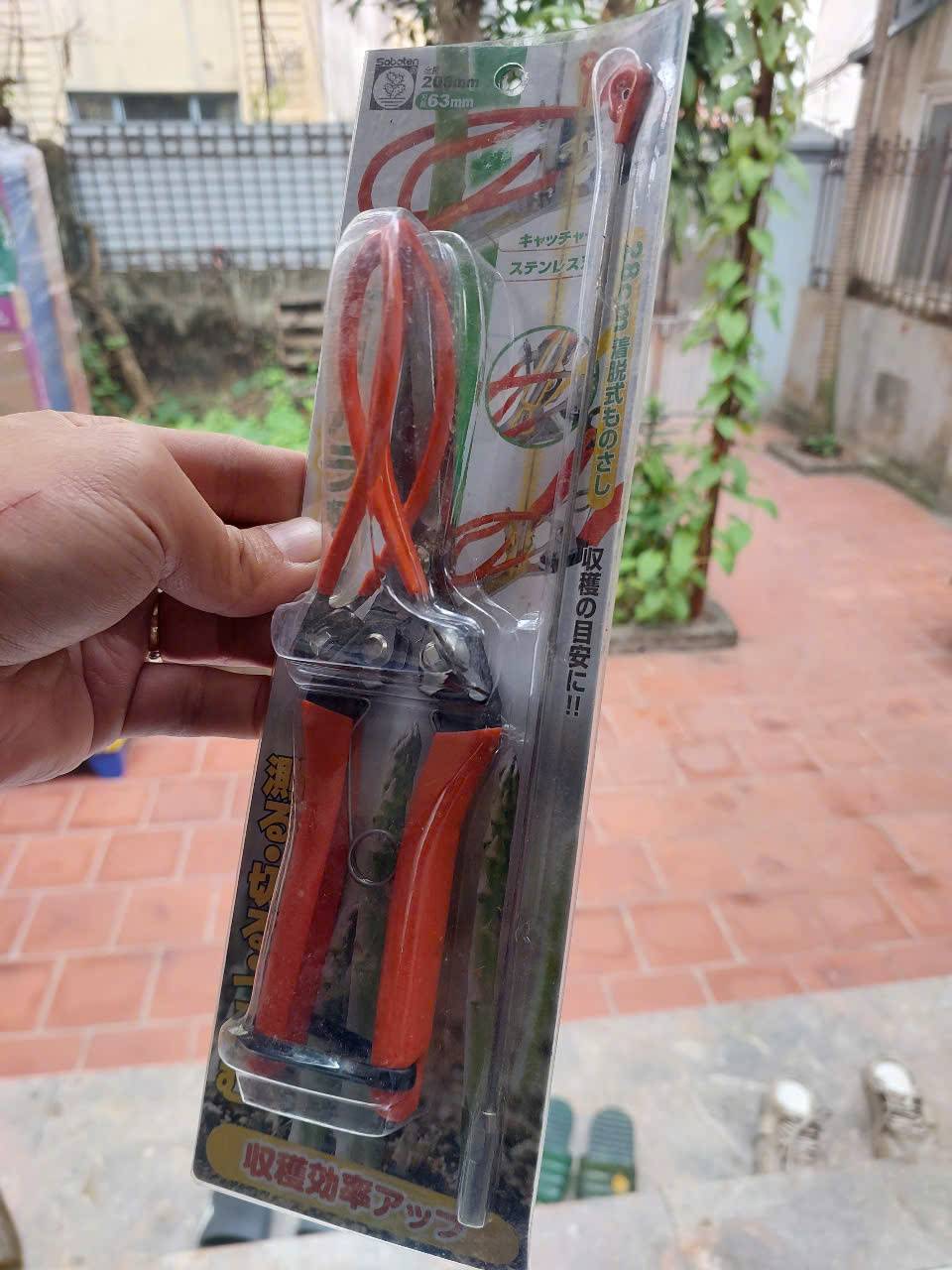 Kéo thu hoạch măng tây Saboten AG-21 Nhật Bản