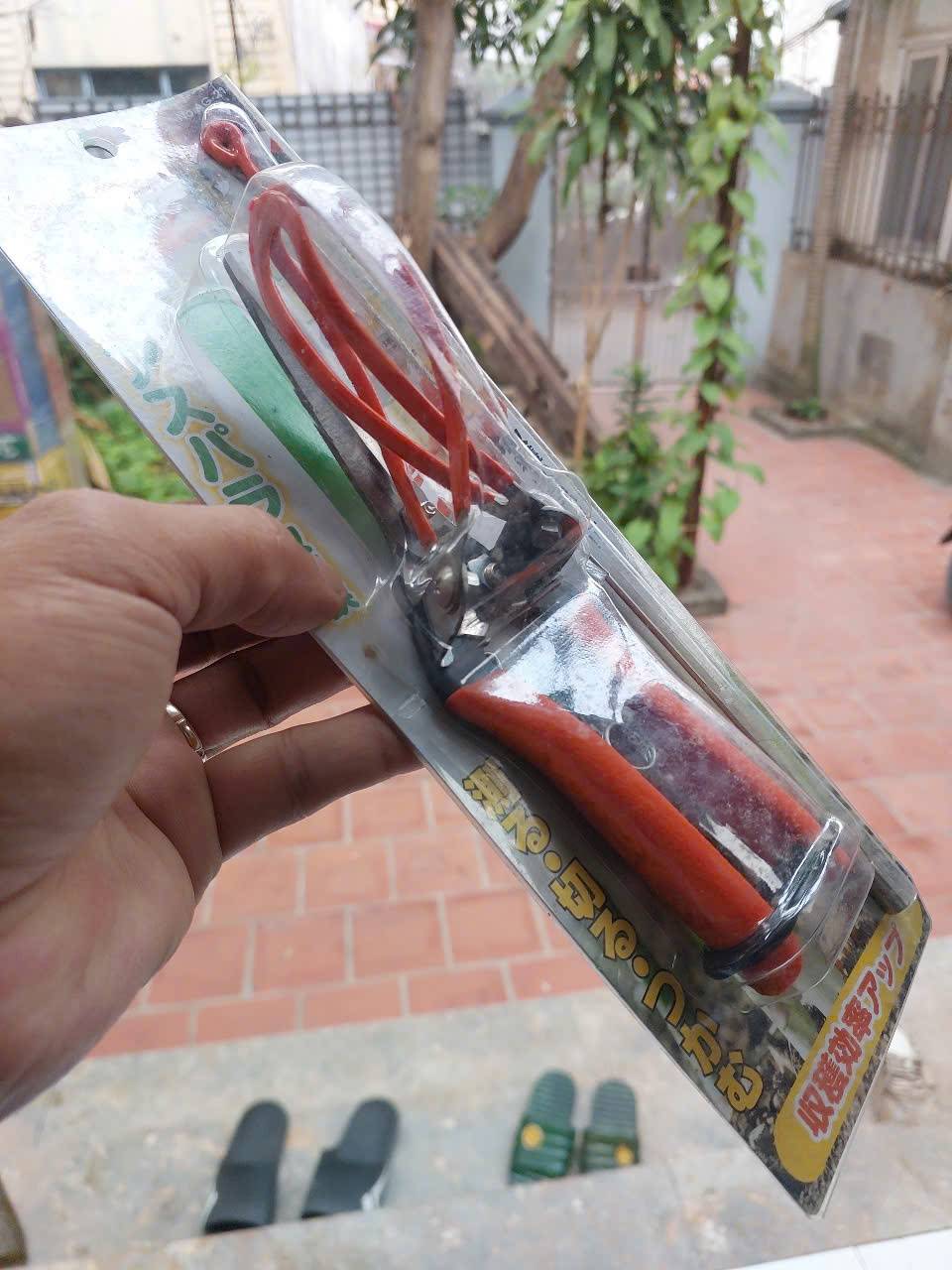 z7280218593654_fd77b7d39a0642450b14e8aa3343ca28 Kéo thu hoạch măng tây Saboten AG-21 Nhật Bản