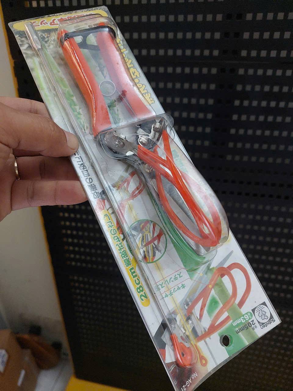 z7280218596160_a3df16a7052c6a3690405b4de6b293b4 Kéo thu hoạch măng tây Saboten AG-21 Nhật Bản