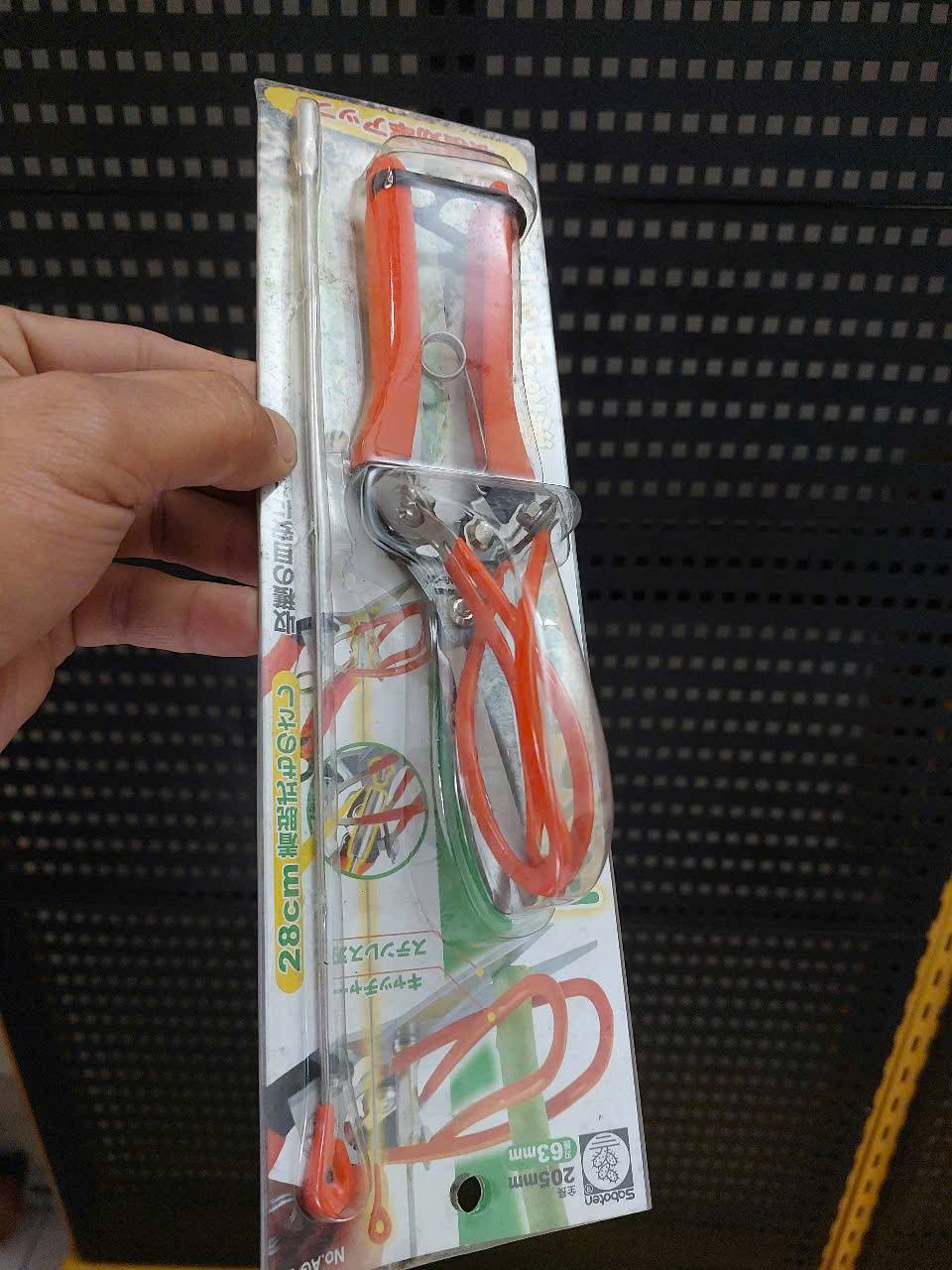 z7280218653675_269ece73d2b3f04b6c407a67e48f17ec Kéo thu hoạch măng tây Saboten AG-21 Nhật Bản