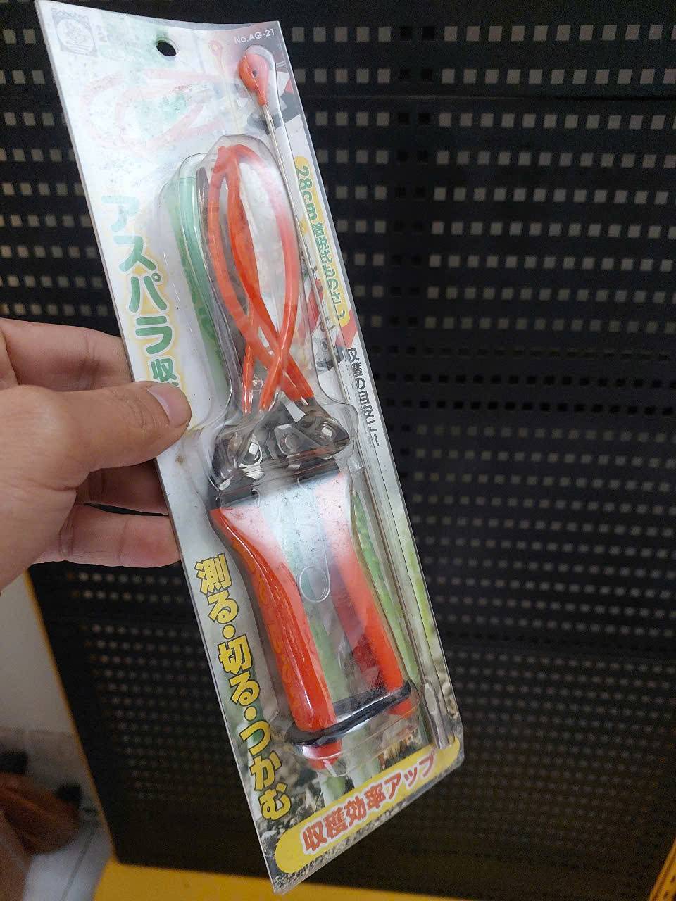 z7280218659341_3f2716e88a0b1ab2dd1d6237540015ff Kéo thu hoạch măng tây Saboten AG-21 Nhật Bản